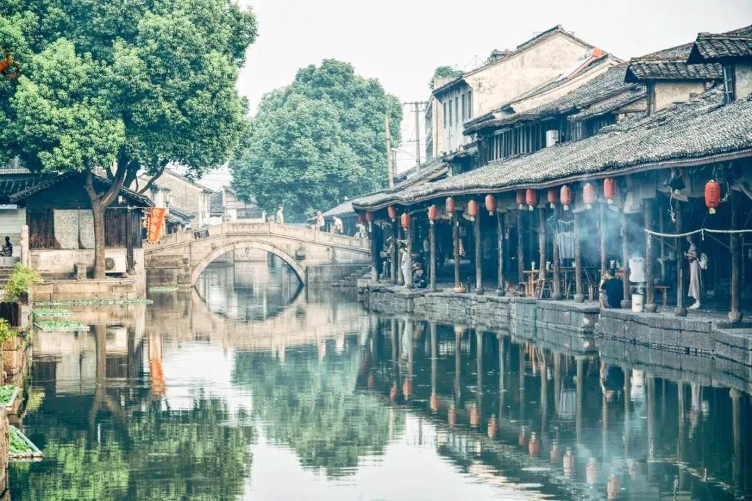 太飒了，缅因玩跑轮好像超模走秀啊！